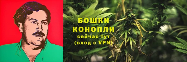 эйфоретик Елизово
