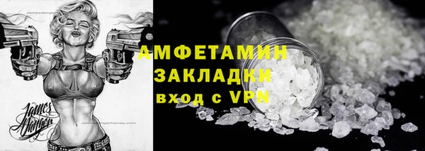 крисы Ельня
