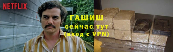 крисы Ельня