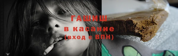 крисы Ельня