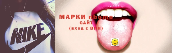 крисы Ельня