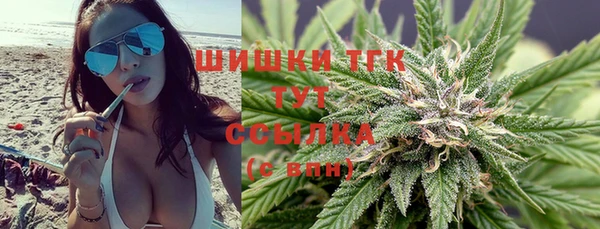 крисы Ельня