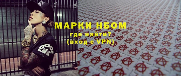 крисы Ельня