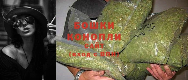 крисы Ельня