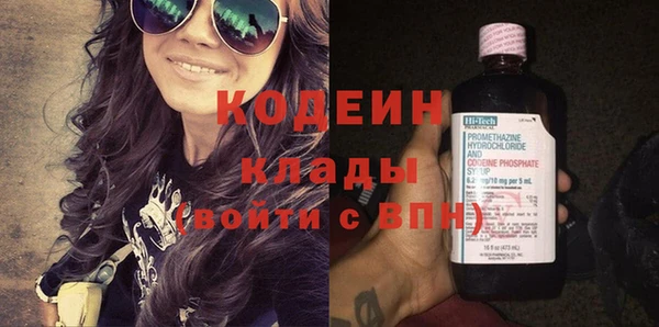 крисы Ельня