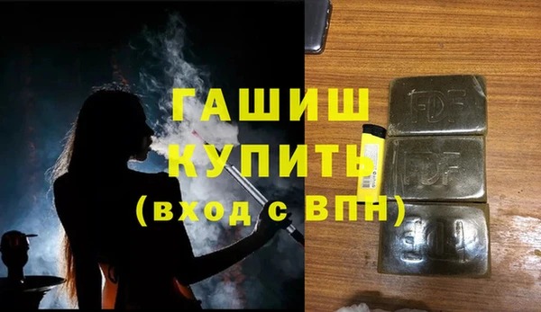 крисы Ельня