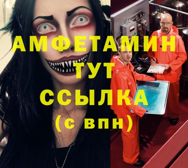 крисы Ельня