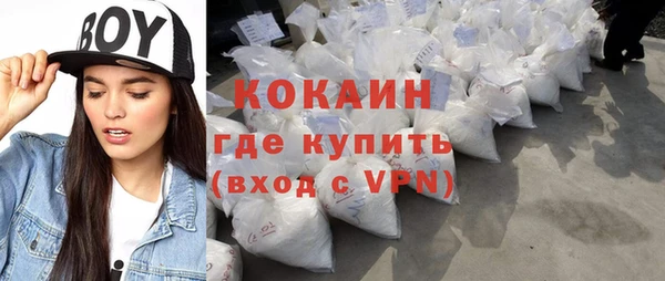 крисы Ельня