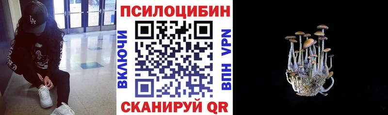 Галлюциногенные грибы мицелий  Купить закладки  Белёв 
